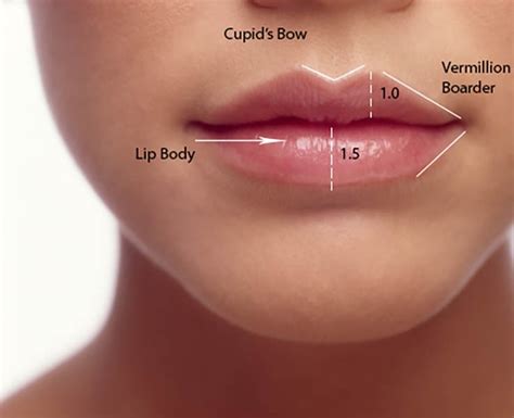 Perfect Lips - - Rippon Medical Services - Rippon Medical Services ...