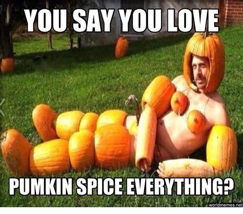 Pin by Amanda Carter on Random | Funny halloween pictures, Funny halloween memes, Halloween memes