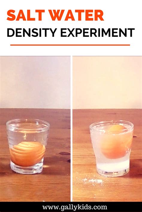 Density Experiment With Water - Watch The Floating Egg!