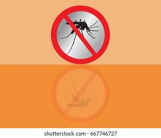 Mosquito Vector Stock Vector (Royalty Free) 667746727 | Shutterstock