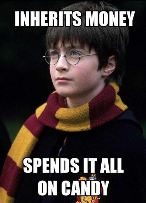 Harry Potter Memes – Only A True Potterhead Can Understand (Part 2) | Harry potter memes, Harry ...