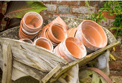 Clay Pots