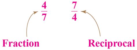 Reciprocal Functions | Graphs | Calculator | Examples - Cuemath