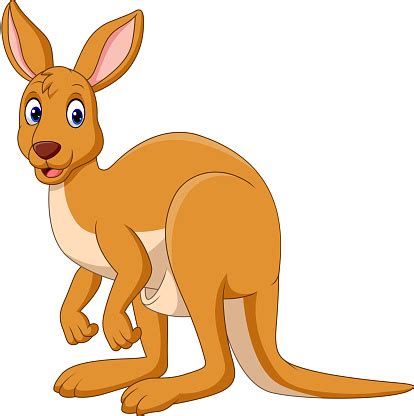 Cartoon Happy Kangaroo Isolated On White Background Stock Illustration - Download Image Now - iStock