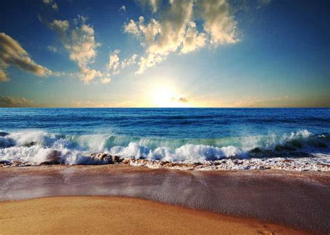 115 Happy Beach Quotes & Sayings (Sunshine & Ocean Captions) | Storyteller Travel