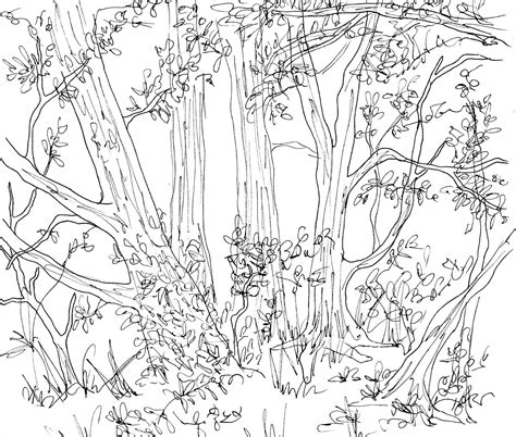 Forest Drawing Easy at PaintingValley.com | Explore collection of Forest Drawing Easy