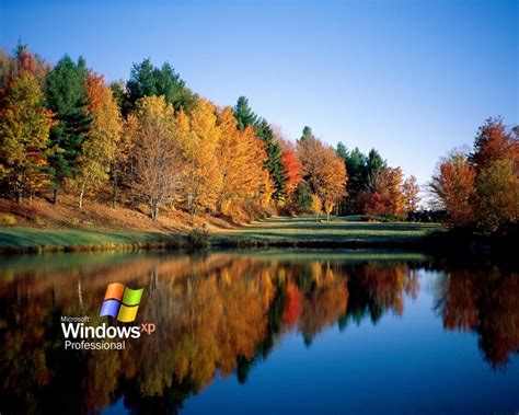 🔥 Free Download Windows Xp Nature Wallpaper by @lfox29 | WallpaperSafari