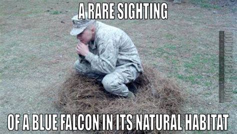 Blue falcon in the wild | Army humor, Military humor, Military quotes