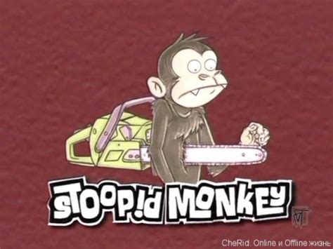 stoopid monkey on Tumblr