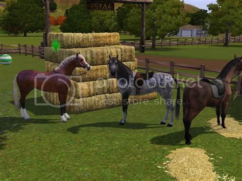 Vitual Horse Breeding Games: full version free software download - politicalrutracker