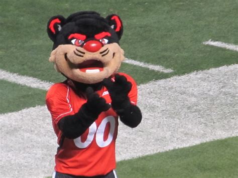 Cincinnati Bearcat Mascot | Sean | Flickr