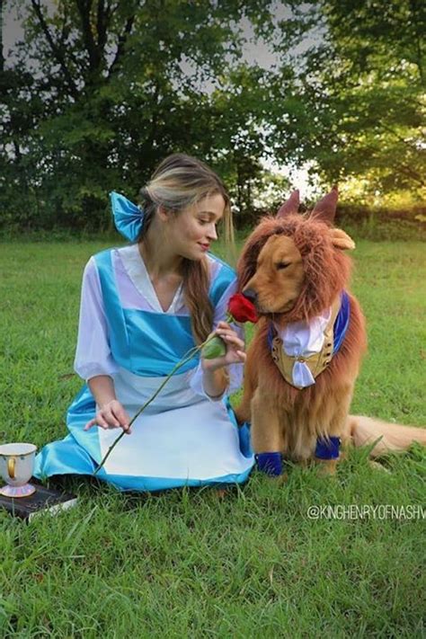 Any Golden Retriever Dressed as Beast From Beauty and the Beast Can "Be ...