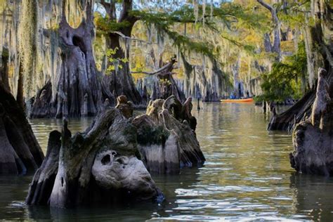 Atchafalaya National Heritage Area | Heritage, National, Trip