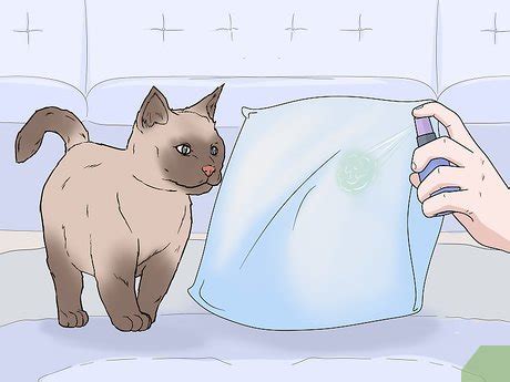 How to Use Catnip Spray: 10 Tips for Happy Cats