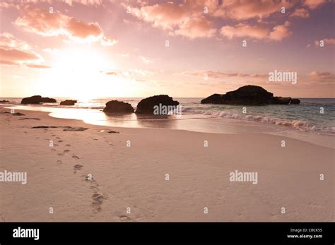 Bermuda. Sunrise and footprints footsteps on Horseshoe Bay beach ...