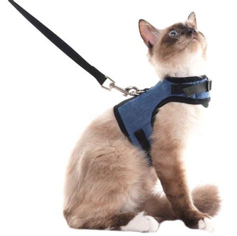 Best Ragdoll Cat Leashes & Harnesses | Harnesses For Ragdoll Cats