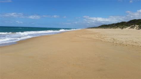 C5 Campground Gippsland Lakes Coastal Park - Golden Beach VIC 3851, Australia