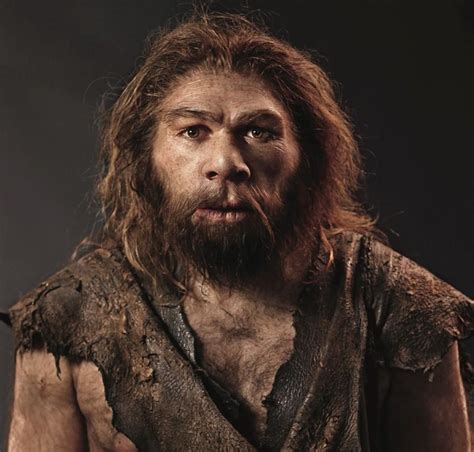 Homo neanderthalensis: Herramientas que usaba, dónde vívian