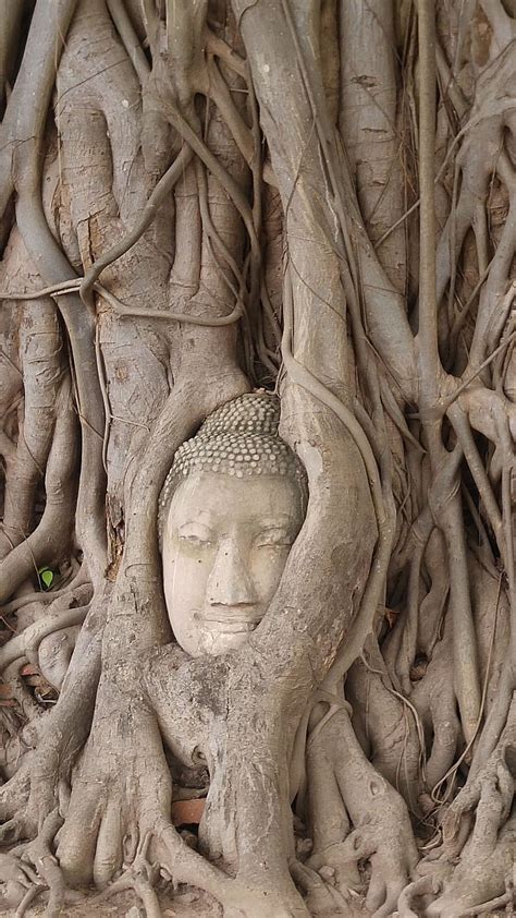Free download | HD wallpaper: thailand, old capital city, ayutthaya, sculpture, human ...