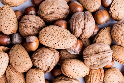 Nuts Free Stock Photo - Public Domain Pictures