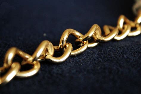 Golden Chain Free Stock Photo - Public Domain Pictures