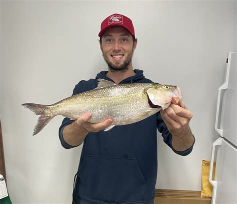 St. Peters angler catches record skipjack herring from Missouri River | Missouri Department of ...