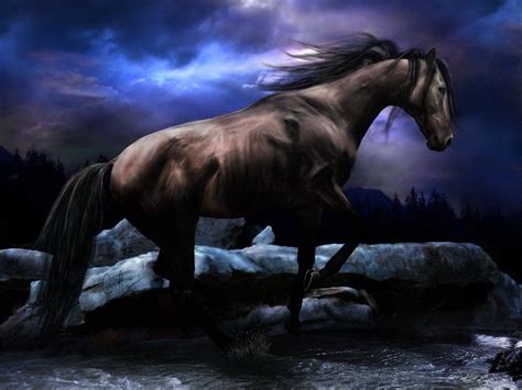 Black Horse Wallpapers - Wallpaper Cave