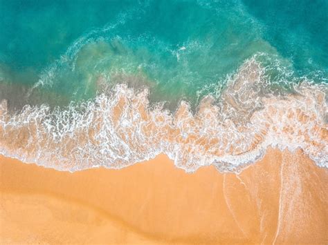 Beach Sea Aerial View Sand Water Png Free PNG Images TOPpng, 46% OFF