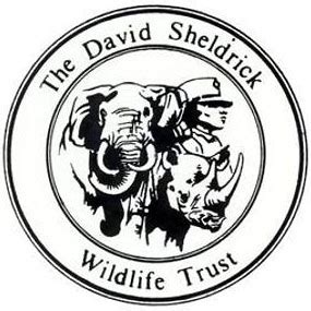 The Noble Efforts of David Sheldrick Wildlife Trust | The Jills