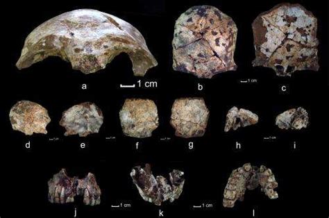 Lao skull earliest example of modern human fossil in Southeast Asia