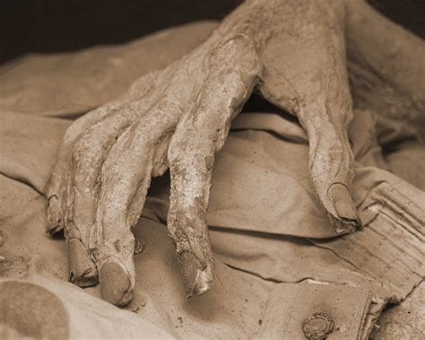File:Guanajuato mummy 04.jpg - Wikimedia Commons