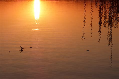 Sunrise Silhouette | Photographer at Large