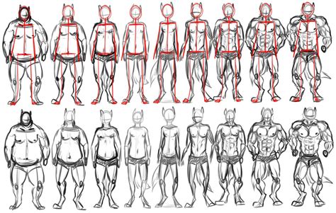 Drawing Body Types Male - Goimages Place