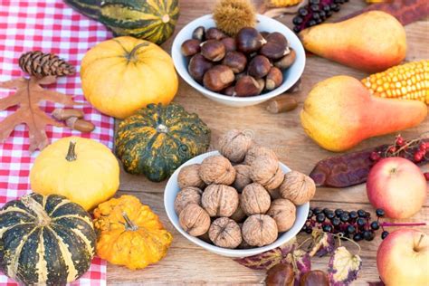 Autumn Harvest , Autumn Crop on Table - Healthy Food Stock Image ...