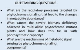 Phytochrome, metabolism and growth plasticity | Plantae