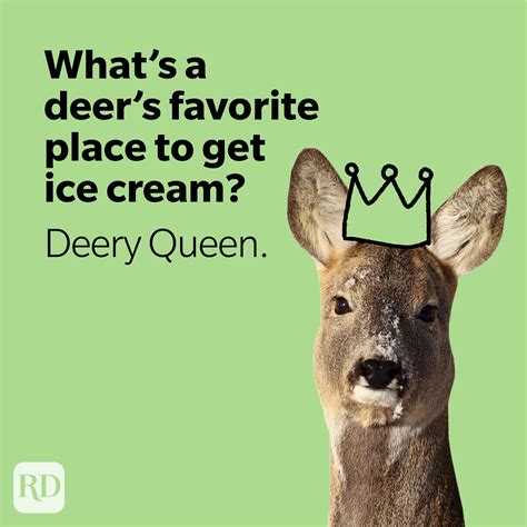 50 Deer Puns That Make the Heart Grow Fawn'der | Funny Deer Jokes