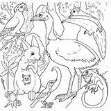 Amazon Rainforest Coloring Pages At GetDrawings  Free Download sketch template
