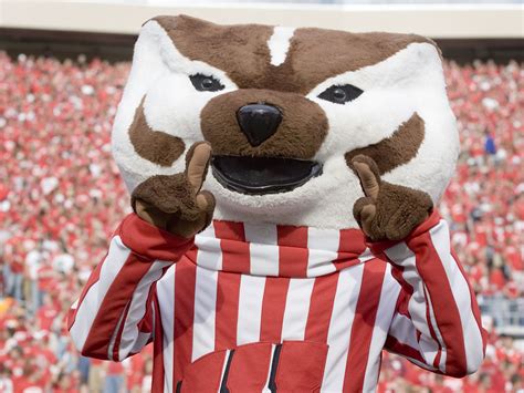 Buckingham U. Badger is Wisconsin's mascot. | Wisconsin badgers ...