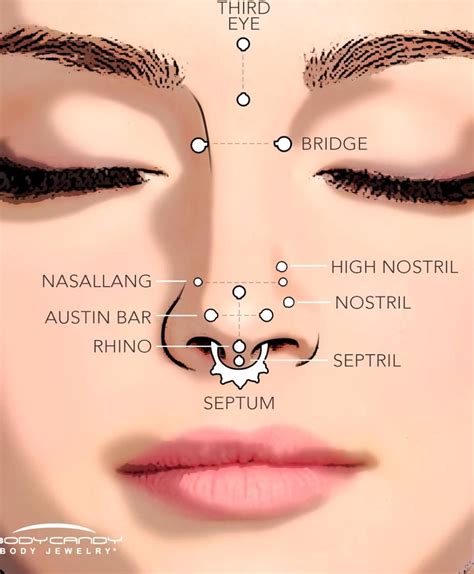 Septum Piercing Gauge Chart