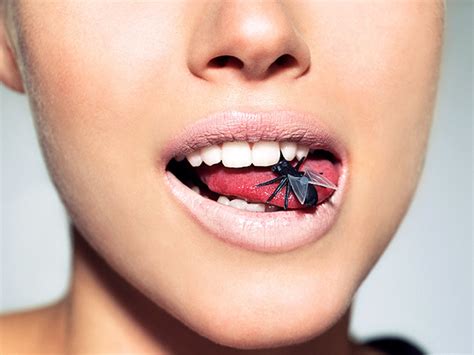 What Is Lipstick Made Out Of Bugs | Sitelip.org