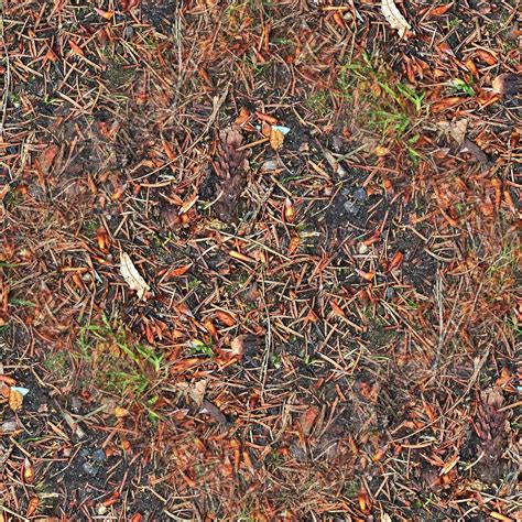 High resolution seamless texture of a forest ground with autumn leaves ...