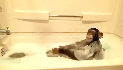 A Bathing Ape GIFs - Find & Share on GIPHY