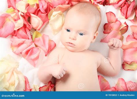 Yellow flowers stock photo. Image of birth, infant, family - 7810852