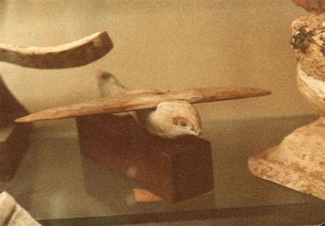 The Saqqara Bird: Did the Ancient Egyptians Know How to Fly? | Ancient Origins