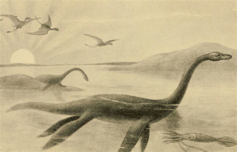 Loch Ness Monster facts | HubPages