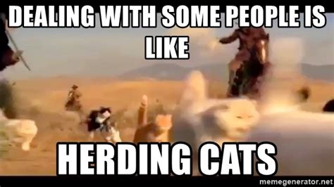 Dealing with some people is like, herding cats - Herding Cats - Meme ...