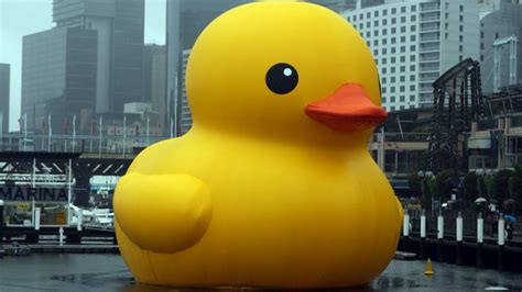 In defence of the $120,000 giant inflatable rubber duck | TVO.org