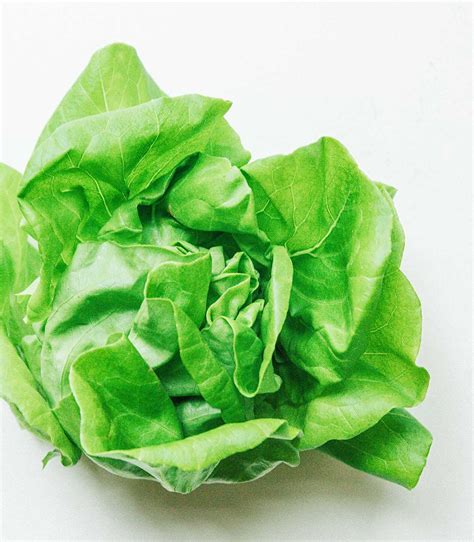 Butterhead Lettuce 101 | Live Eat Learn