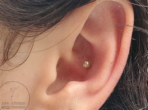 Conch Yellow Gold CZ - New Flower Studio Body Piercing