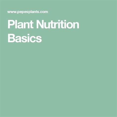 Plant Nutrition Basics | Nutrition, Basic, Plants